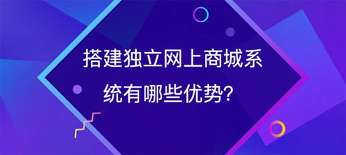 搭建独立网上商城系统有哪些优势